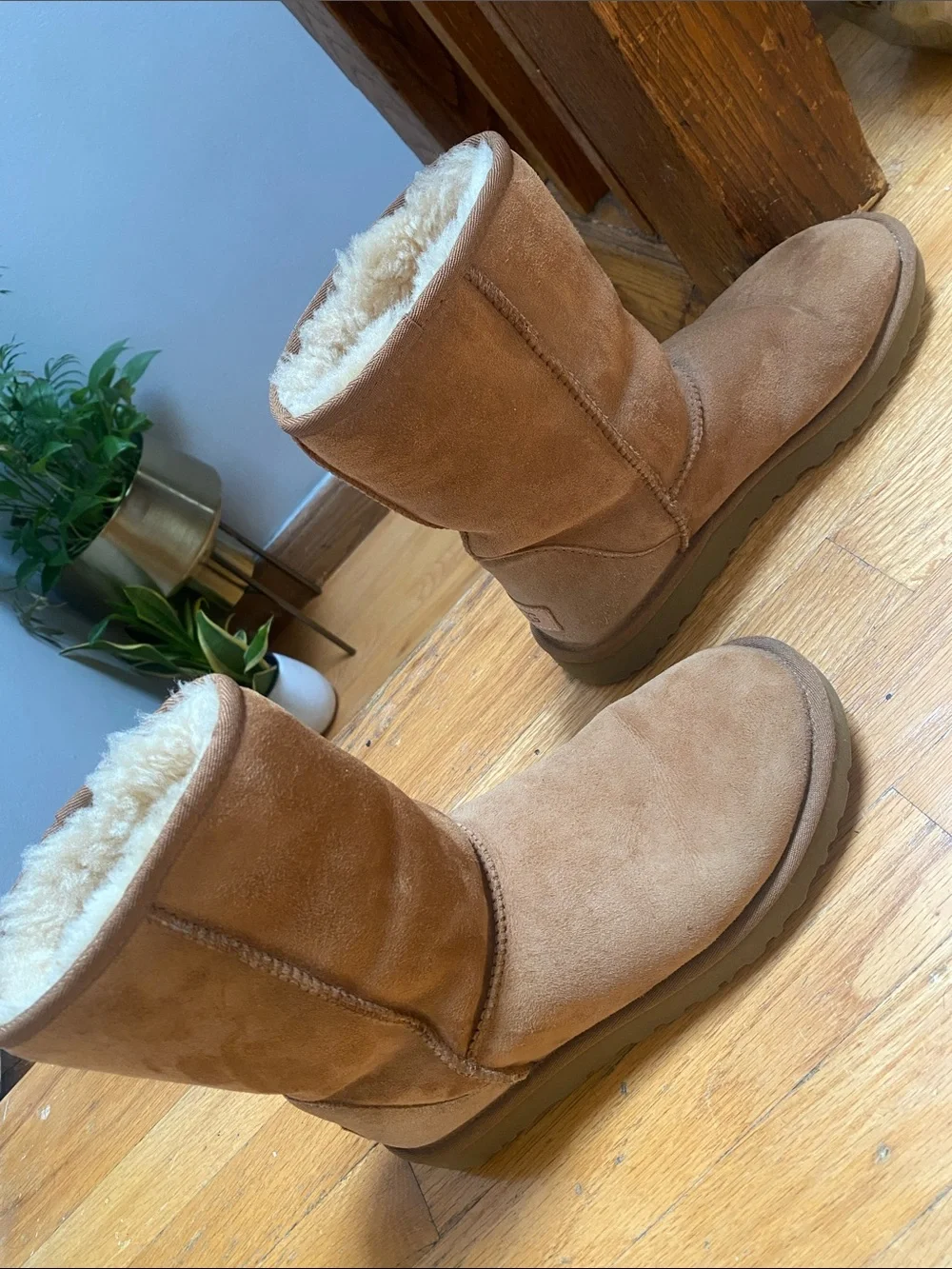 UGG Classic Short Boots - Chestnut Suede